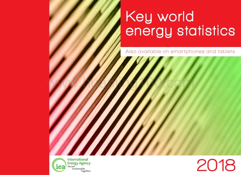《世界關鍵能源數據統計2018》.pdf