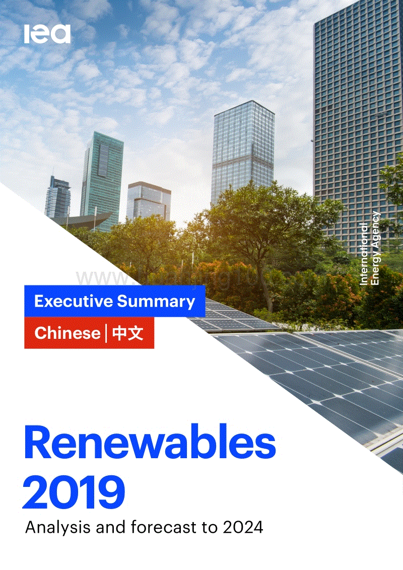 國際能源署《可再生能源2019—分析和預測至2024》電子版全文.pdf